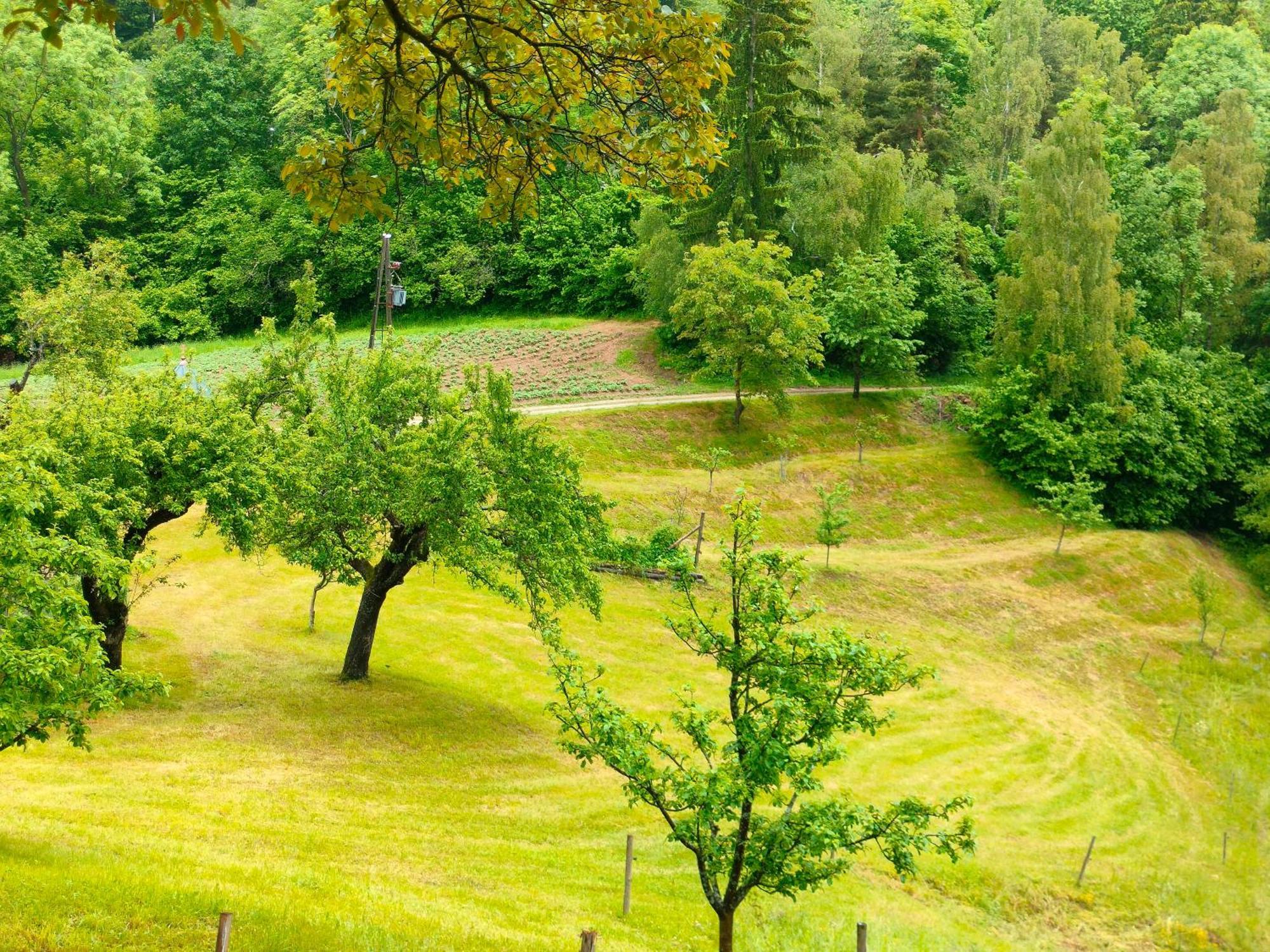 Apartments Organic Tourist Farm Gradisnik Prevalje Exterior foto